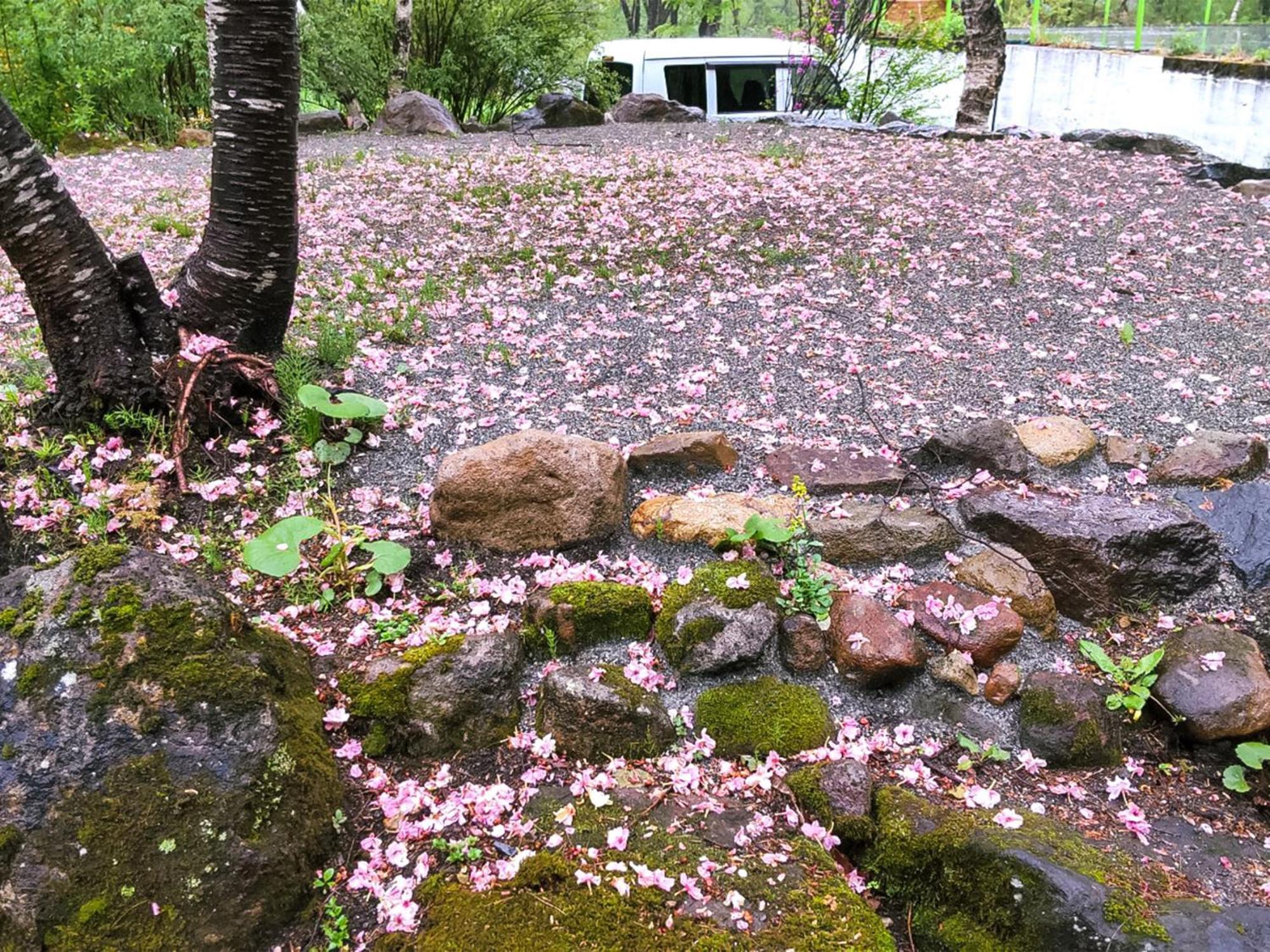 Kudo'S Lodge 白马村 外观 照片